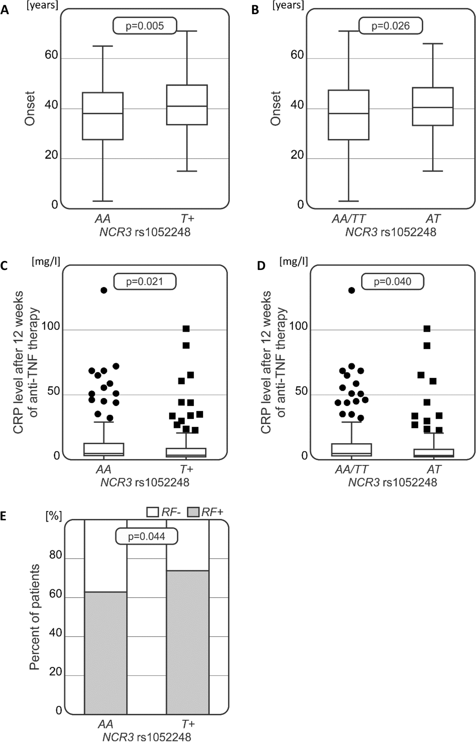Genetic variability of three common NK and γδ T cell receptor genes (FCγ3R, NCR3, and DNAM-1) and their role in Polish patients with rheumatoid arthritis and ankylosing spondylitis