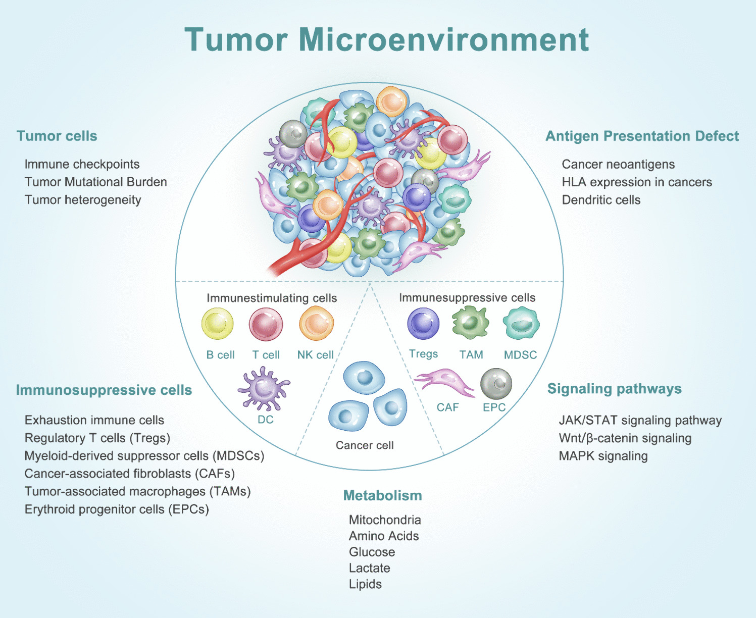 The immunosuppressive landscape in tumor microenvironment
