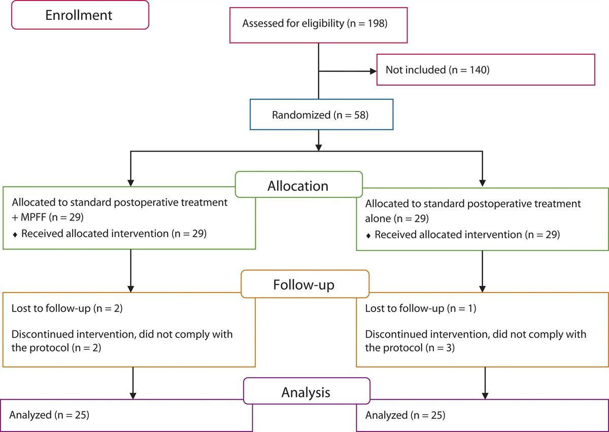 Efficacy of Micronized Purified Flavonoid Fraction in the Posthemorrhoidectomy Period Trial: Open-Label Randomized Controlled Trial