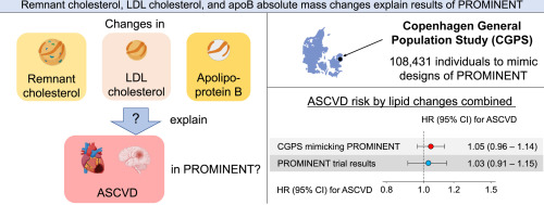 Remnant cholesterol, LDL cholesterol, and apoB absolute mass changes explain results of the PROMINENT trial