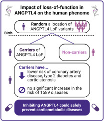Impact of loss-of-function in angiopoietin-like 4 on the human phenome