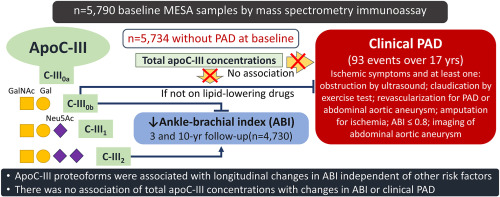 Relationship of Apolipoprotein C-III proteoform composition with ankle-brachial index and peripheral artery disease in the Multi-Ethnic Study of Atherosclerosis (MESA)