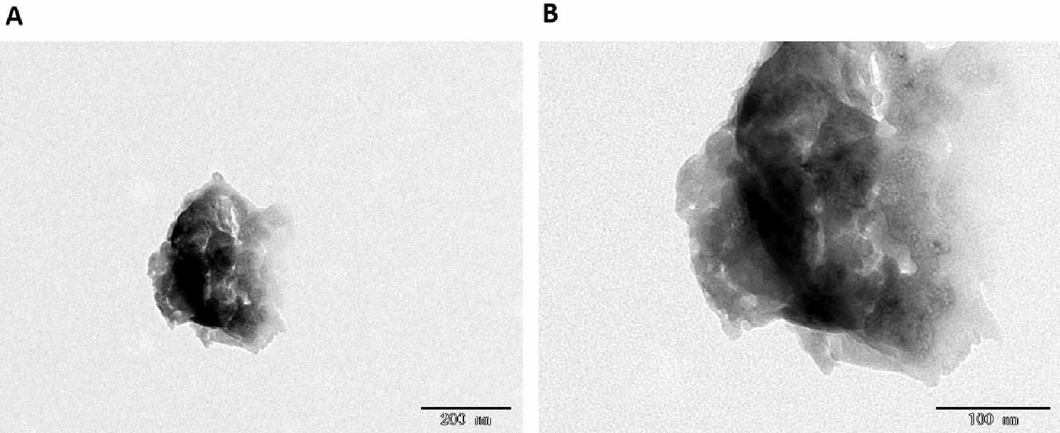 Novel combination of Olesoxime/Resveratrol-encapsulated exosomes to improve cognitive function by targeting amyloid β-induced Alzheimer’s disease: investigation on in vitro and in vivo model