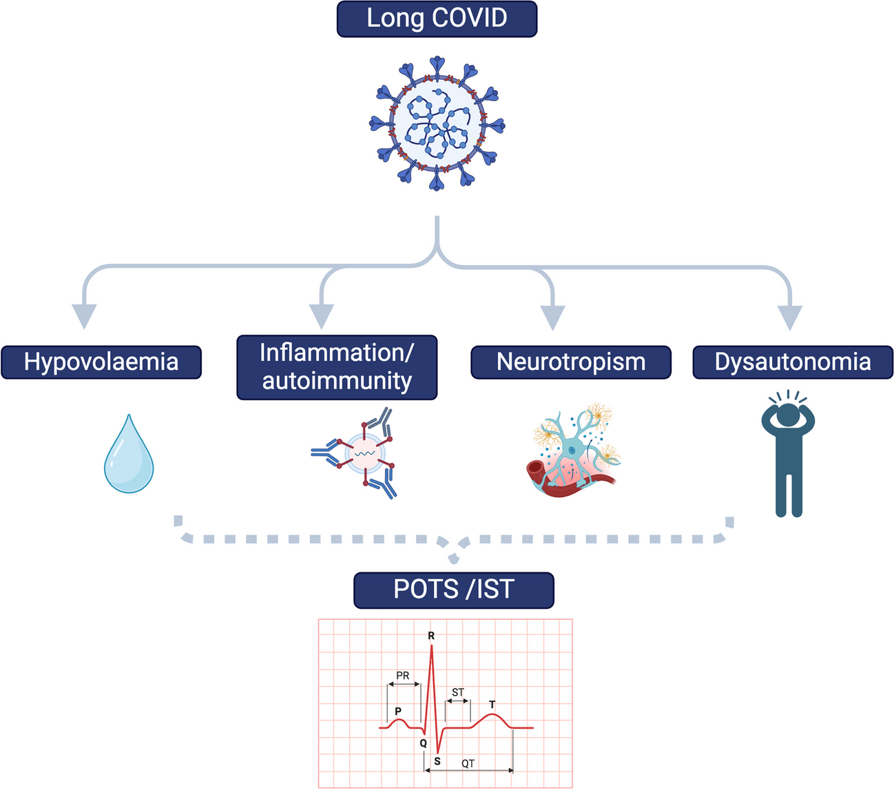 Post-COVID Postural Orthostatic Tachycardia Syndrome and Inappropriate Sinus Tachycardia in the Pediatric Population