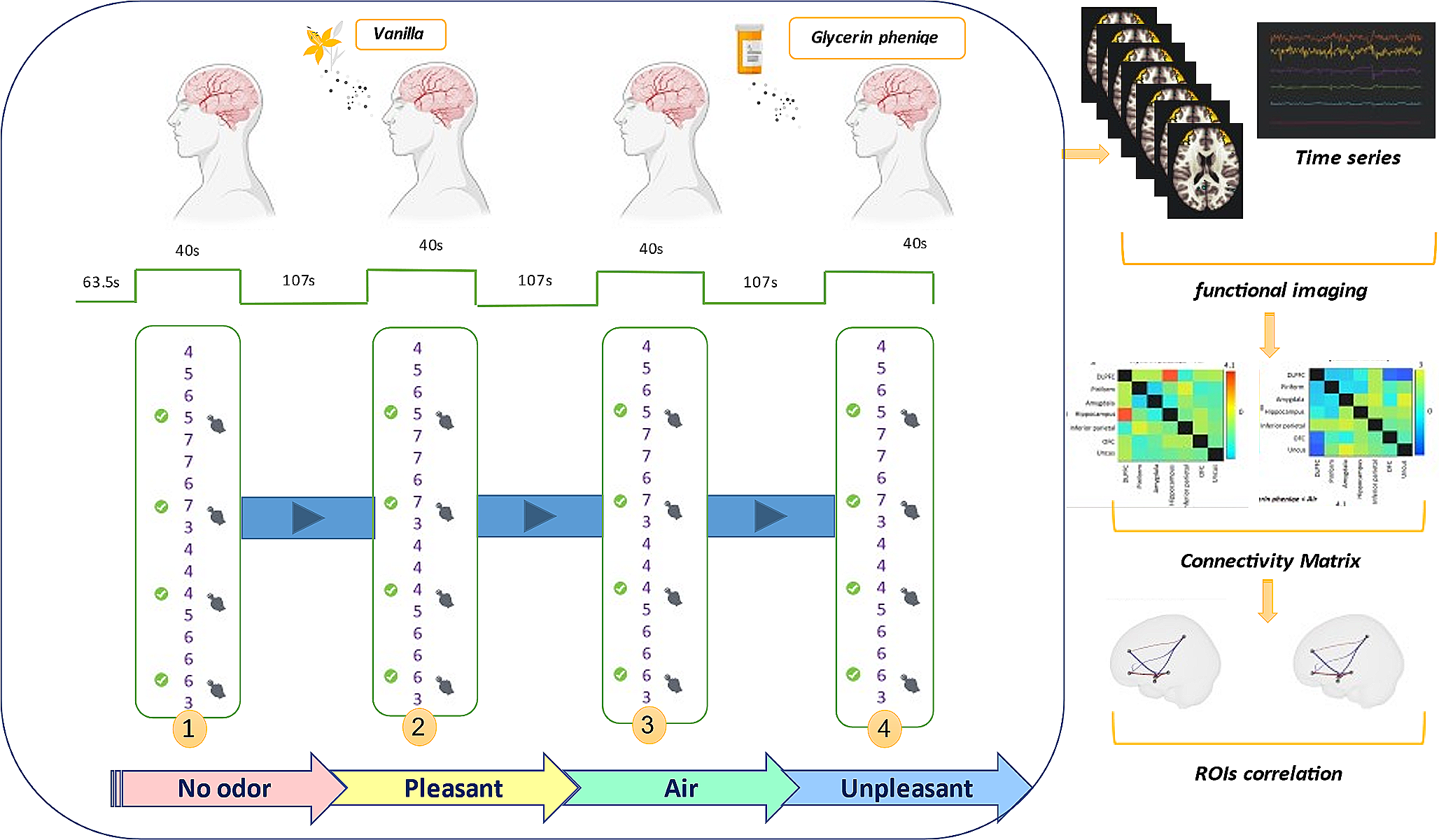An fMRI-based investigation of the effects of odors on the functional connectivity network underlying the working memory