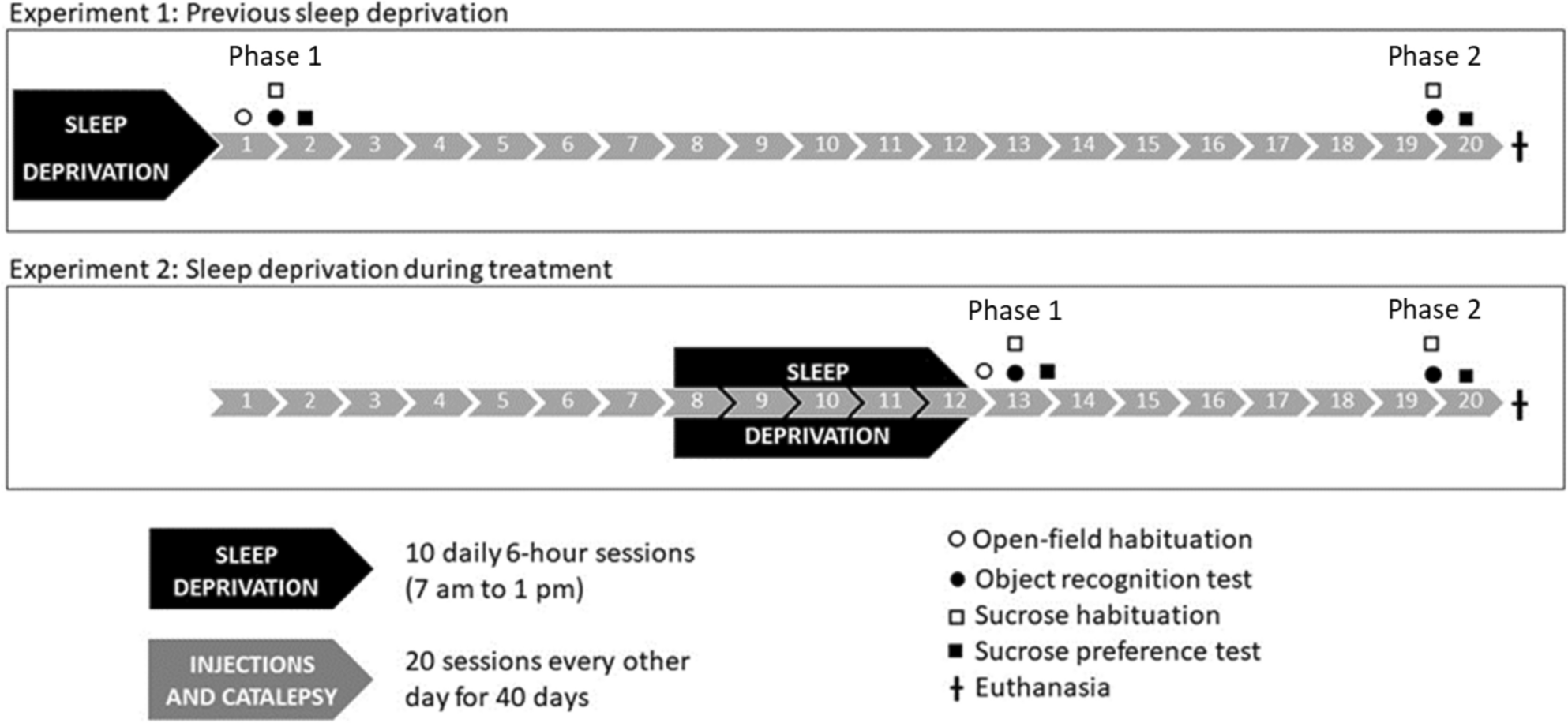 Sleep deprivation induces late deleterious effects in a pharmacological model of Parkinsonism