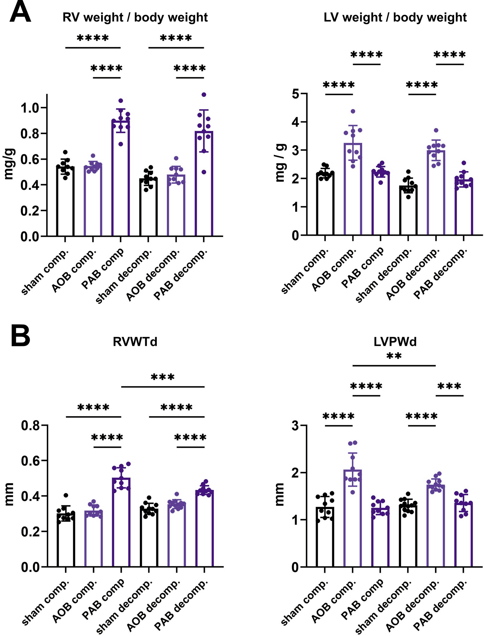 Comparison of the stage-dependent mitochondrial changes in response to pressure overload between the diseased right and left ventricle in the rat