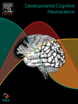 Differences in educational opportunity predict white matter development