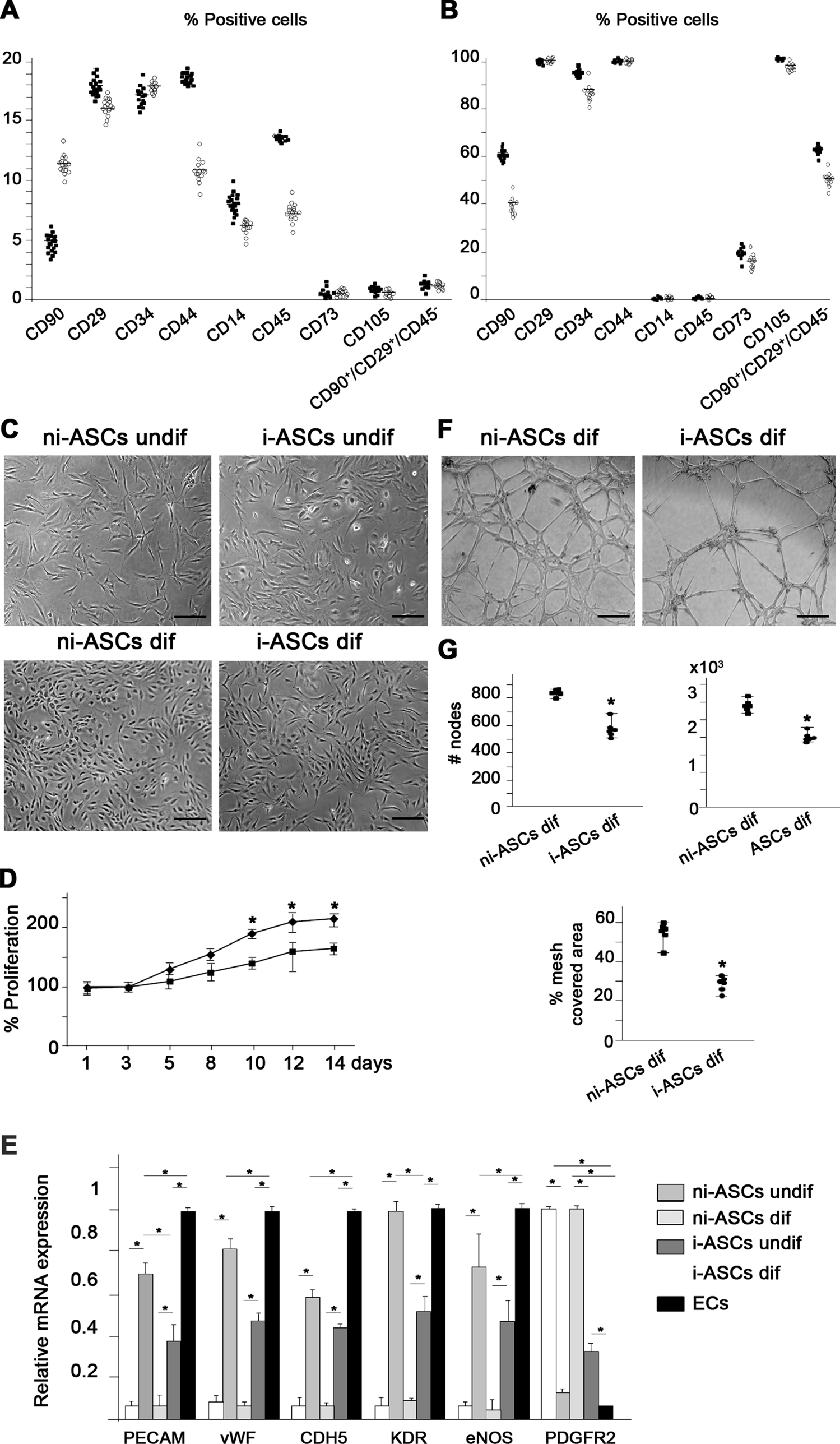 Crosstalk of human coronary perivascular adipose-derived stem cells with vascular cells: role of tissue factor