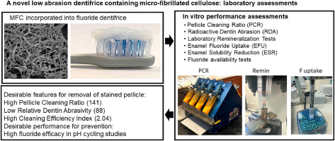 Stain removal, abrasion and anticaries properties of a novel low abrasion dentifrice containing micro-fibrillated cellulose: in vitro assessments