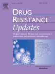 Potential targets and therapeutics for cancer stem cell-based therapy against drug resistance in hepatocellular carcinoma