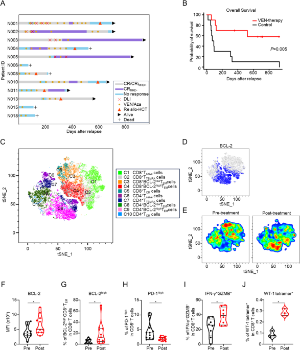 T cells with high BCL-2 expression induced by venetoclax impact anti-leukemic immunity “graft-versus-leukemia effects”