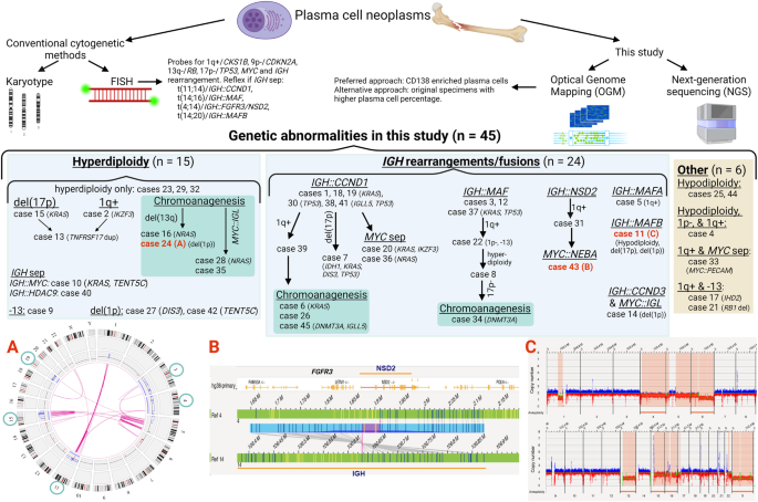 A comprehensive approach to evaluate genetic abnormalities in multiple myeloma using optical genome mapping