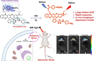 Golgi-targeted NIR fluorescent probe with large stokes shift for real-time monitoring of nitric oxide in depression model