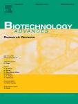 Biobased short chain fatty acid production - Exploring microbial community dynamics and metabolic networks through kinetic and microbial modeling approaches