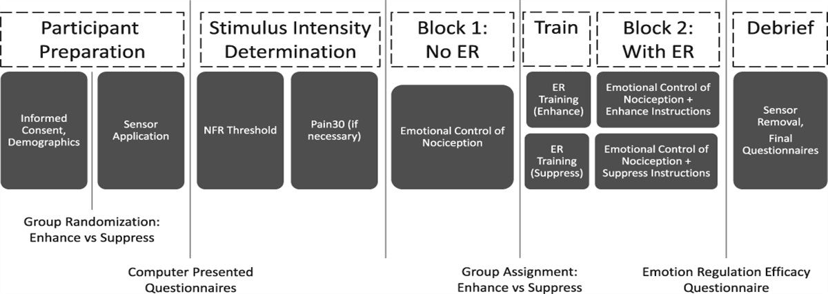 The effect of emotion regulation on the emotional modulation of pain and nociceptive flexion reflex