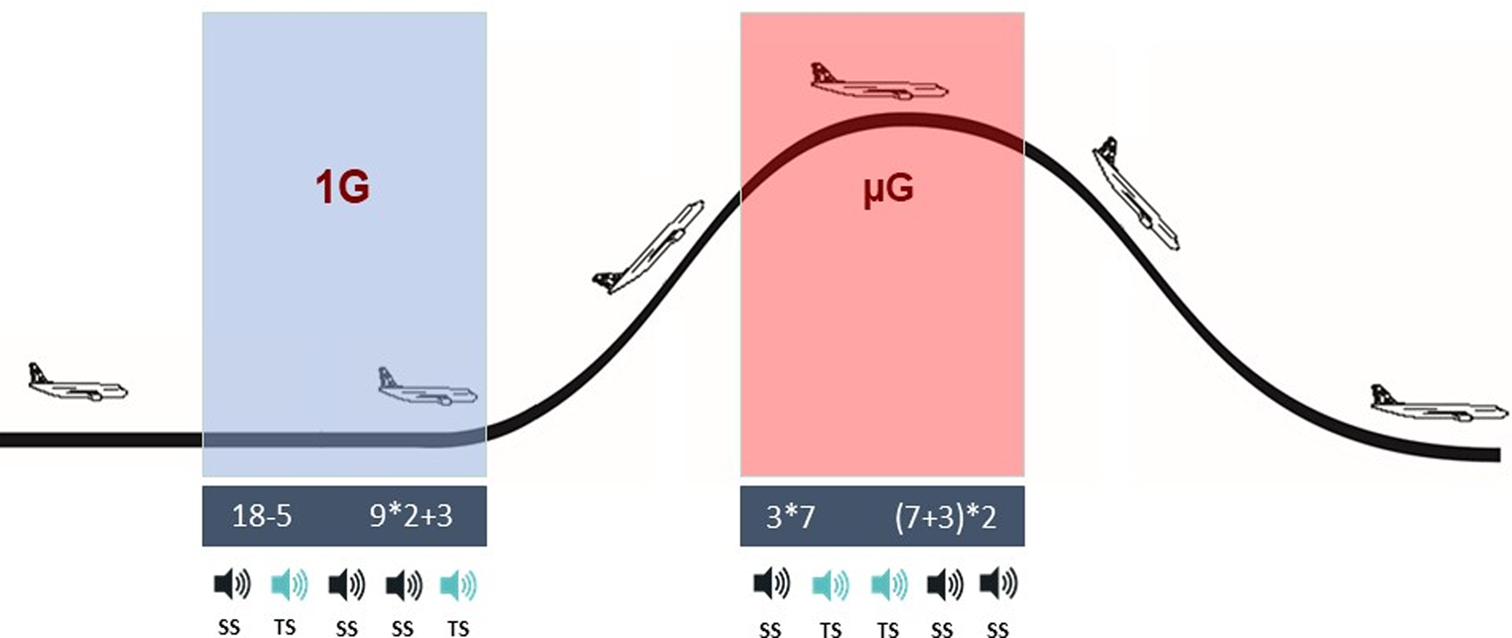 Shades of gravity – effects of planetary gravity levels on electrocortical activity and neurocognitive performance