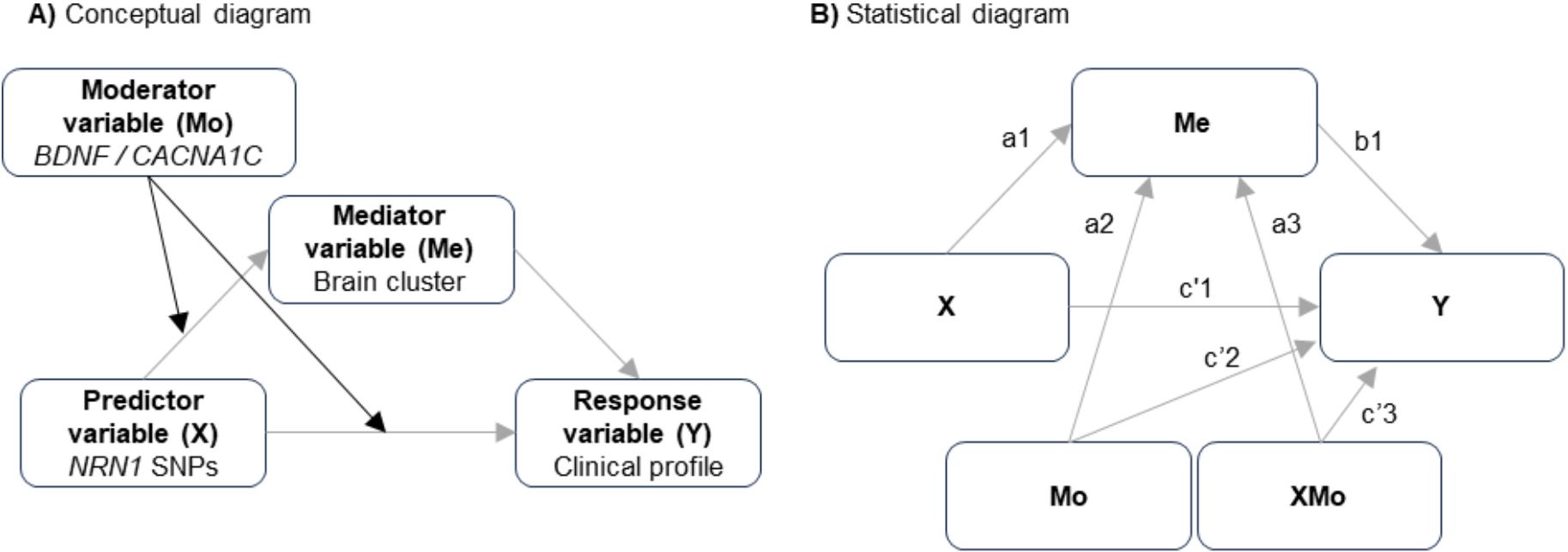 NRN1 epistasis with BDNF and CACNA1C: mediation effects on symptom severity through neuroanatomical changes in schizophrenia