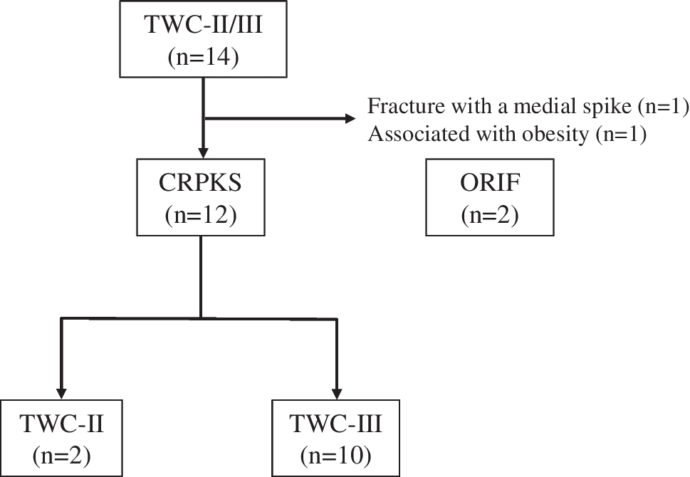 Radiologic, clinical, and functional evaluation of children with displaced T-condylar fractures treated by closed reduction and percutaneous fixation using the Mayo Elbow Performance Score