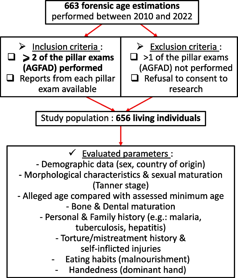 Forensic age estimation at the University Center of Legal Medicine Lausanne-Geneva: a retrospective study over 12 years