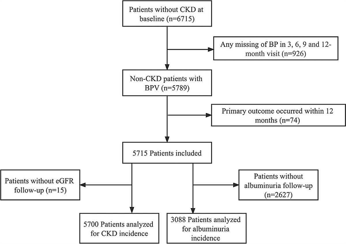 Association between blood pressure variability and risk of kidney function decline in hypertensive patients without chronic kidney disease: a post hoc analysis of Systolic Blood Pressure Intervention Trial study