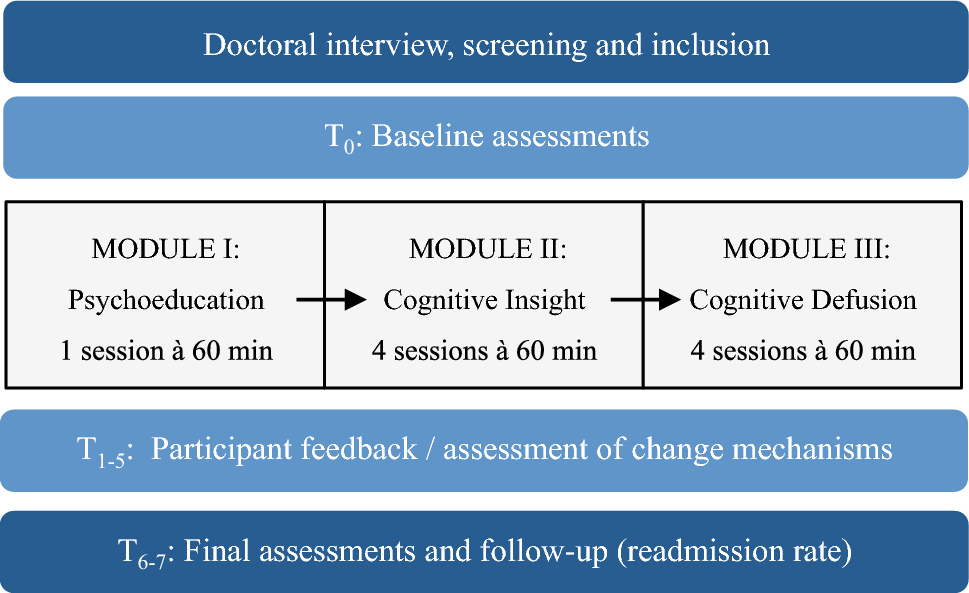 Targeting metacognitive change mechanisms in acute inpatients with psychotic symptoms: feasibility and acceptability of a modularized group intervention