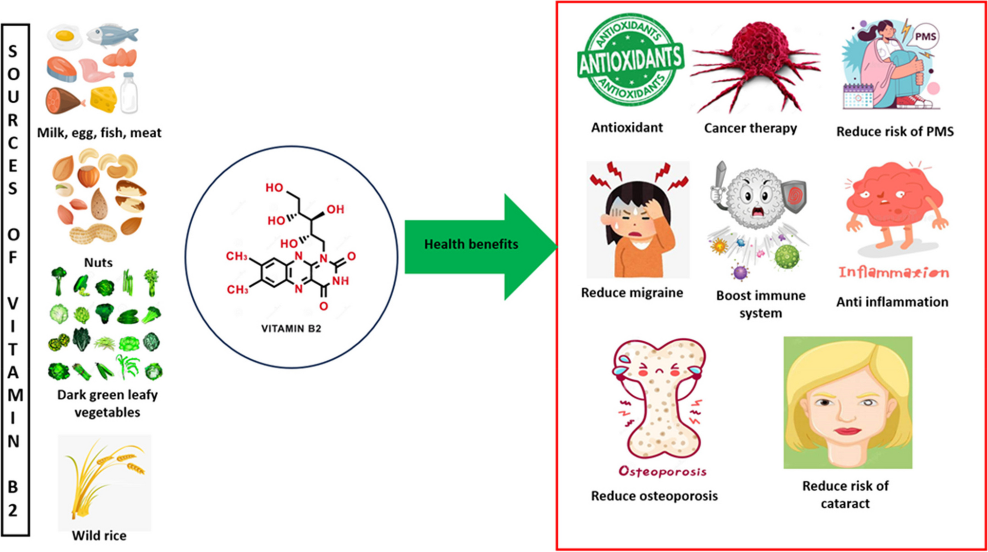 Mini-encyclopedia of mitochondria-relevant nutraceuticals protecting health in primary and secondary care—clinically relevant 3PM innovation