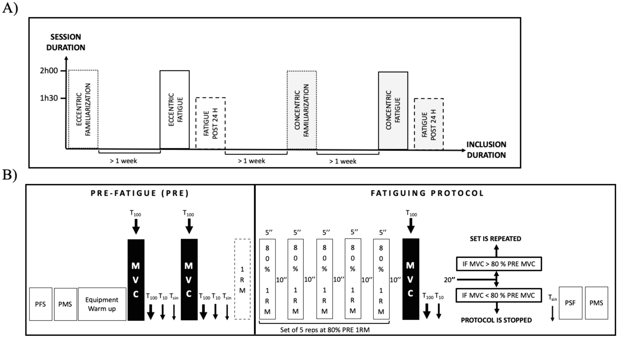 Immediate but not prolonged effects of submaximal eccentric vs concentric fatiguing protocols on the etiology of hamstrings’ motor performance fatigue