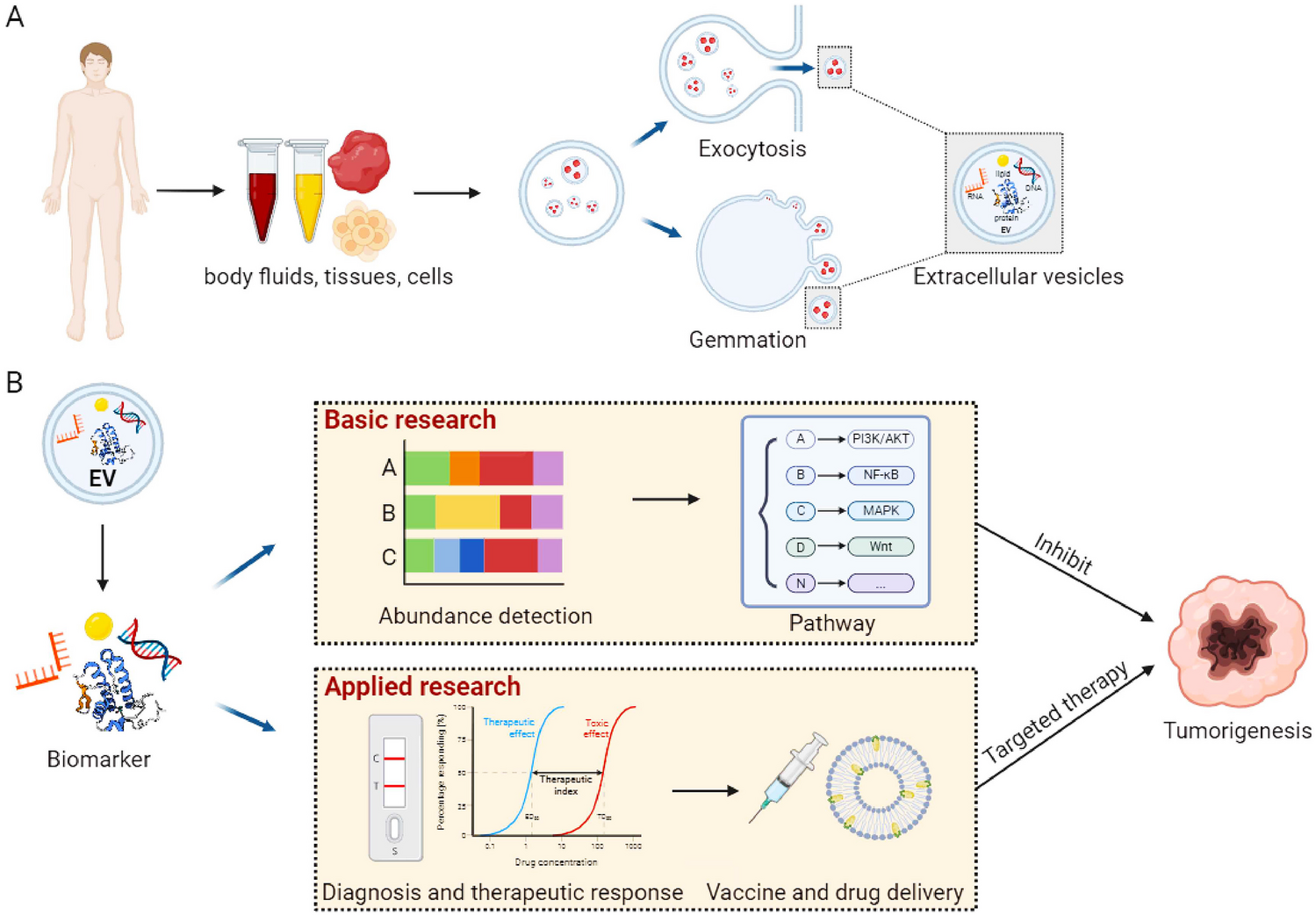 Tumor-derived extracellular vesicle proteins as new biomarkers and targets in precision oncology