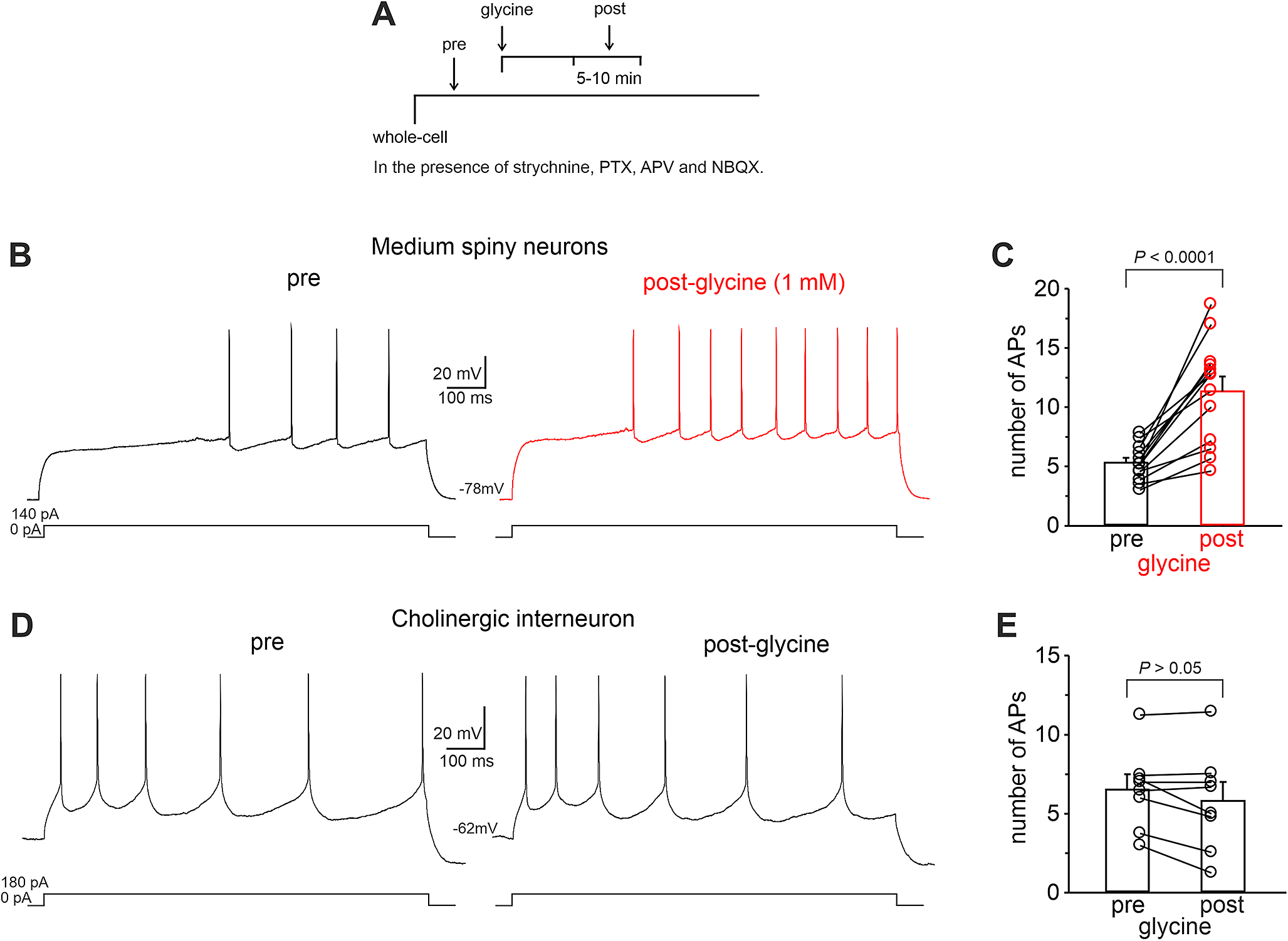 Glycine-induced activation of GPR158 increases the intrinsic excitability of medium spiny neurons in the nucleus accumbens