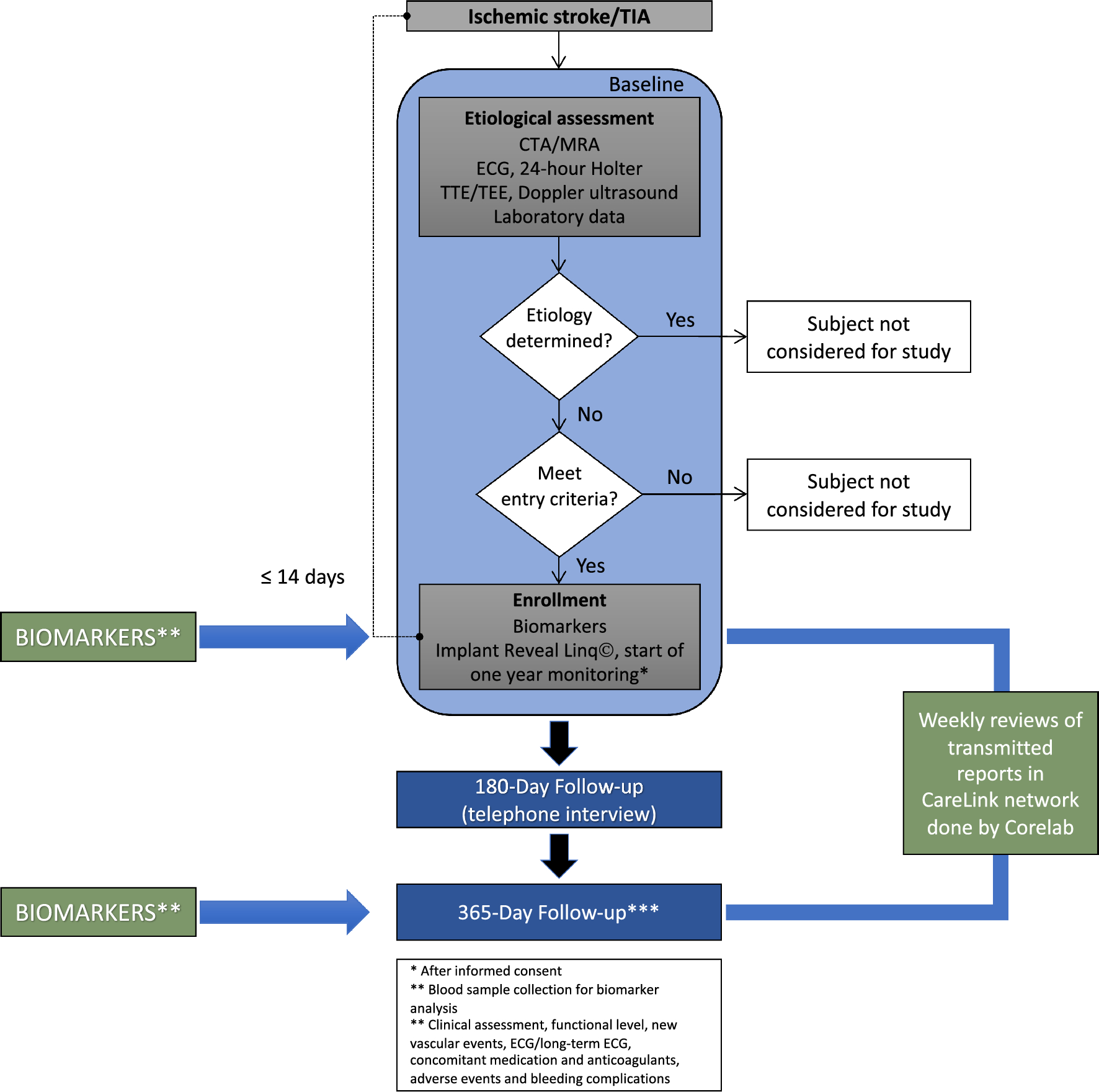 Imaging features for the identification of atrial fibrillation in cryptogenic stroke patients