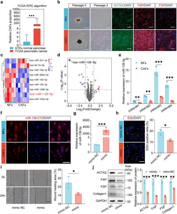 Engineered extracellular vesicles for targeted reprogramming of cancer-associated fibroblasts to potentiate therapy of pancreatic cancer