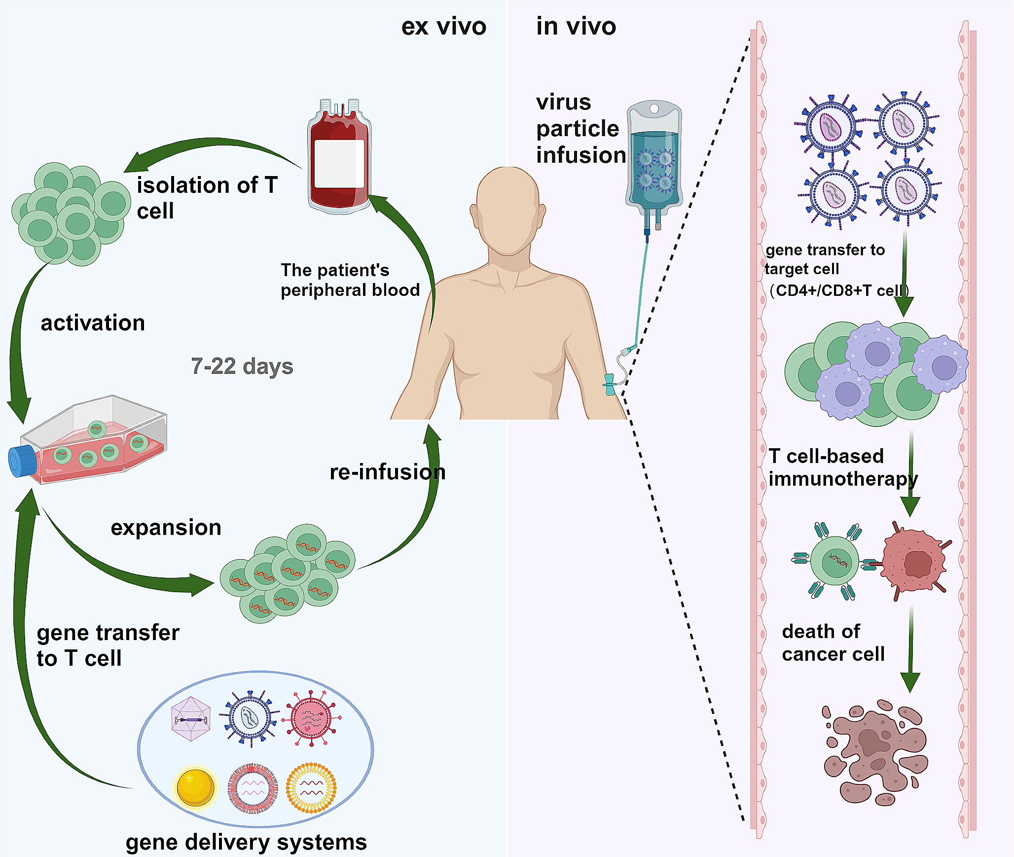 Targeted gene delivery systems for T-cell engineering