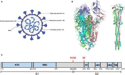 Advances in virus-like particle-based SARS-CoV-2 vaccines