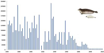 Pinnipeds and avian influenza: a global timeline and review of research on the impact of highly pathogenic avian influenza on pinniped populations with particular reference to the endangered Caspian seal (Pusa caspica)