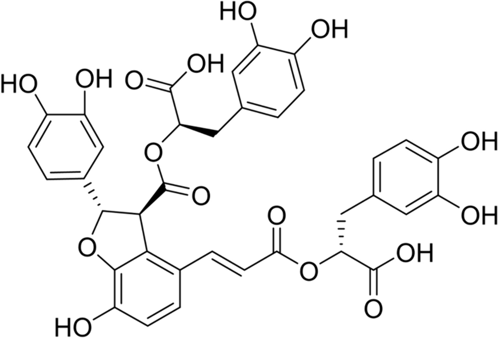 Salvianolic acid B inhibits the growth and metastasis of A549 lung cancer cells through the NDRG2/PTEN pathway by inducing oxidative stress