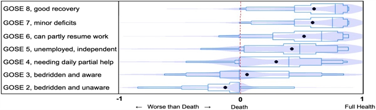 Would You Rather: Quantifying Traumatic Brain Injury Survivor Perceptions of Functional Status Through Their Surrogates