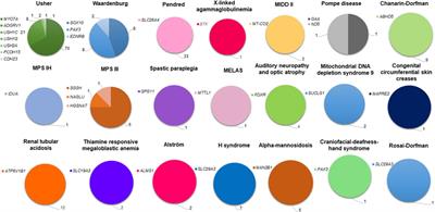 Corrigendum: Current phenotypic and genetic spectrum of syndromic deafness in Tunisia: paving the way for precision auditory health