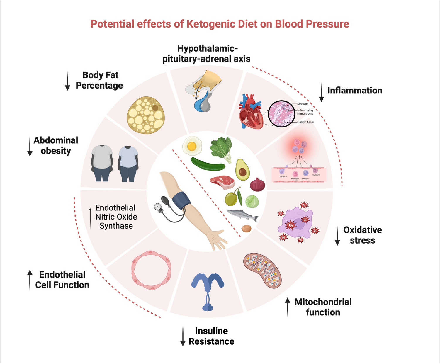 Commentary on Paper Entitled “The Effects of Ketogenic Diet on Systolic and Diastolic Blood Pressure: A Systematic Review and Meta‐regression Analysis of Randomized Controlled Trials”