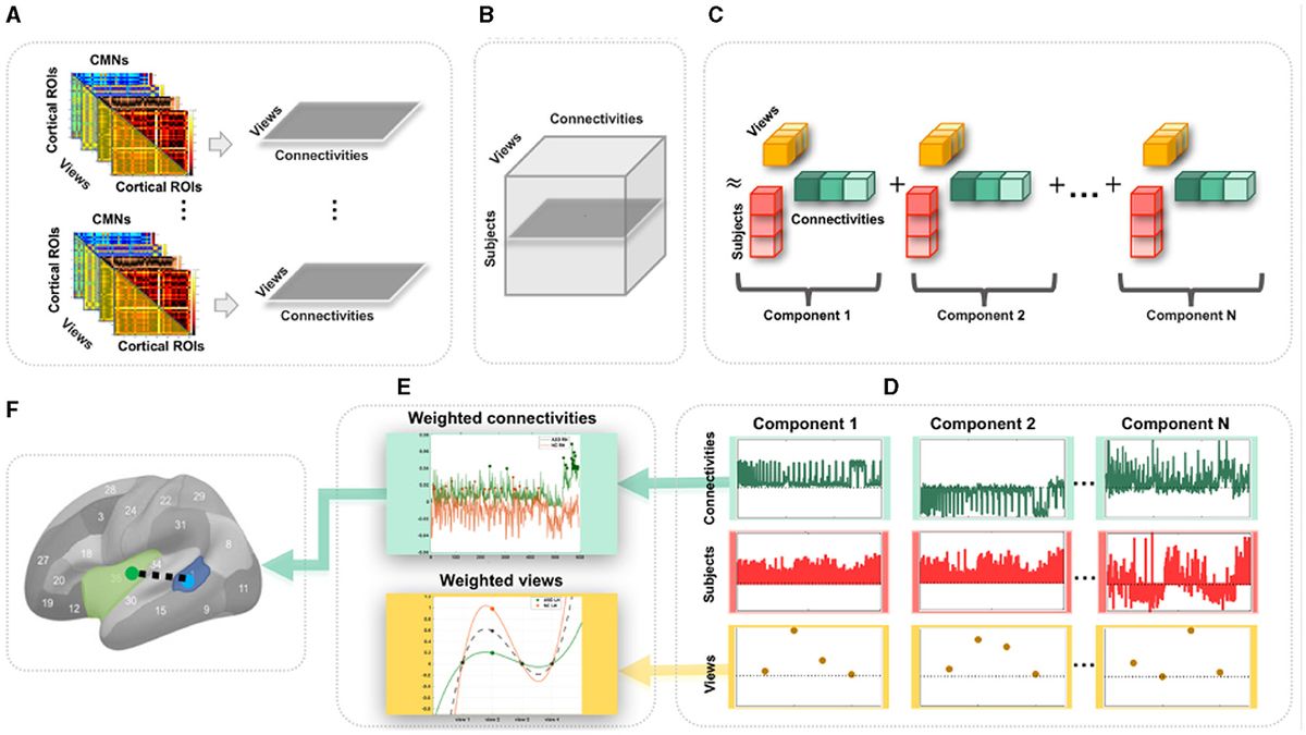 Cortical morphological networks for profiling autism spectrum disorder using tensor component analysis