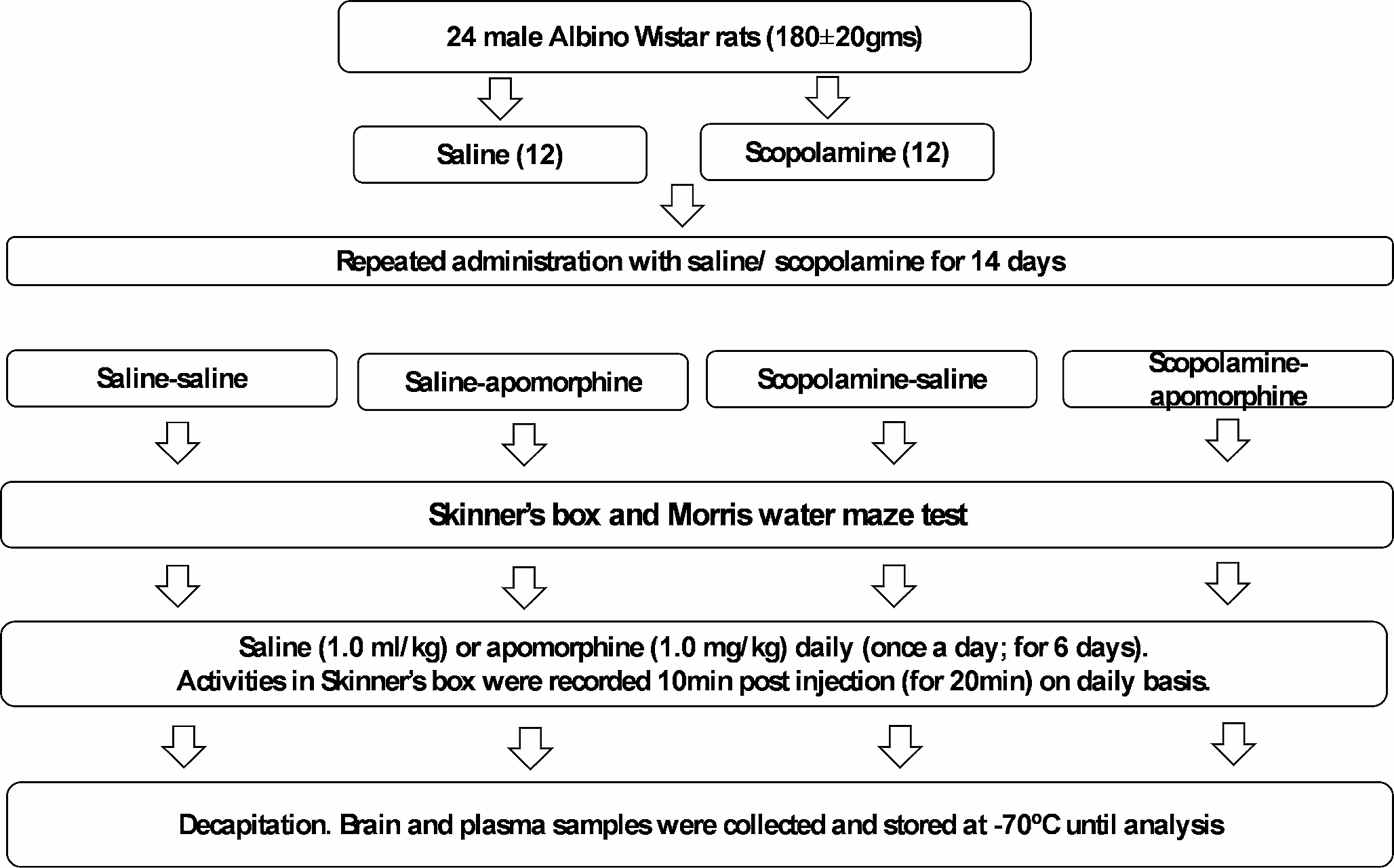 Memory enhancing and neuroprotective effects of apomorphine in a rat model of dementia