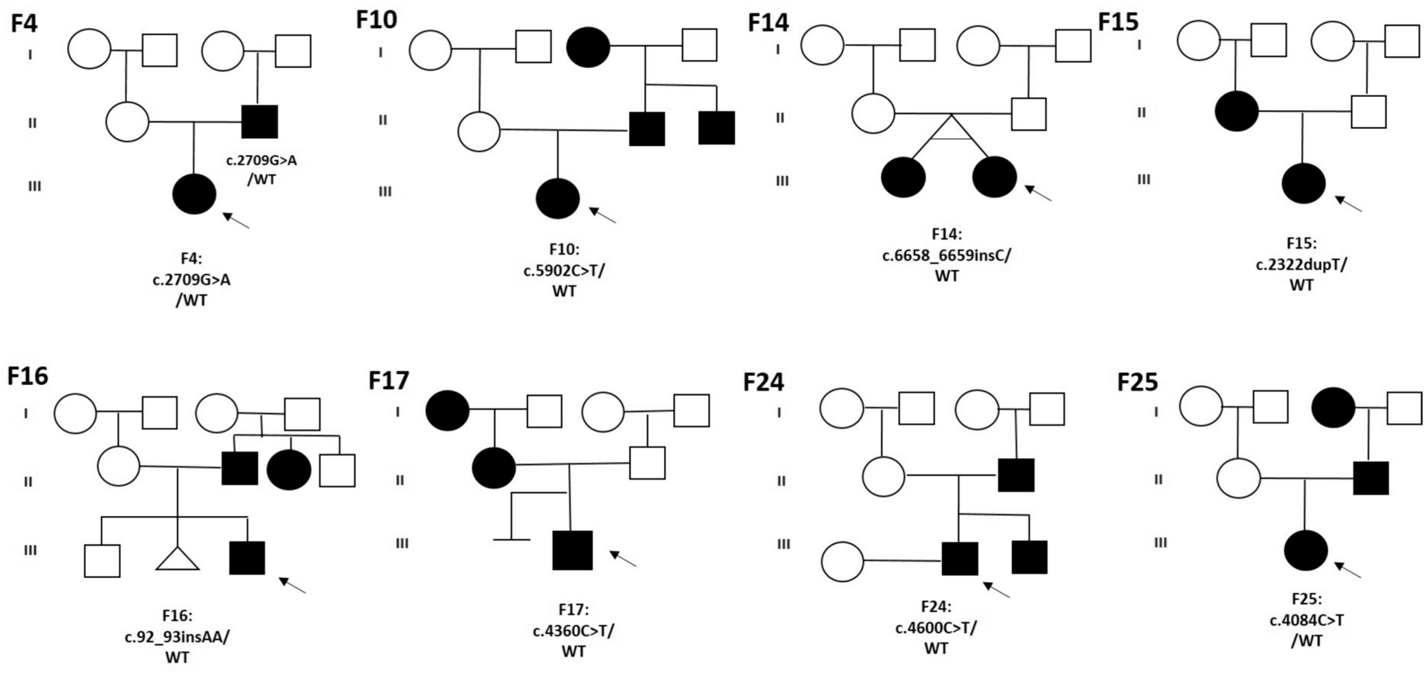 A Comprehensive Overview of NF1 Mutations in Iranian Patients