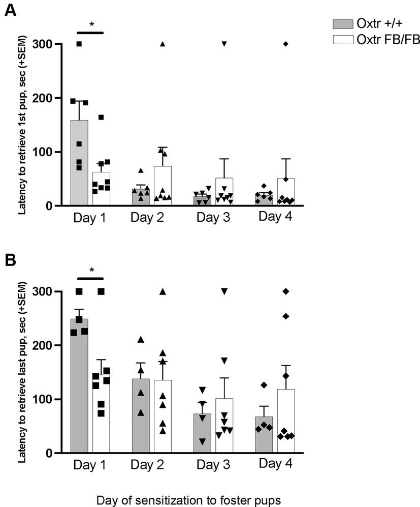 Oxytocin receptors in the nucleus accumbens shell are necessary for the onset of maternal behavior