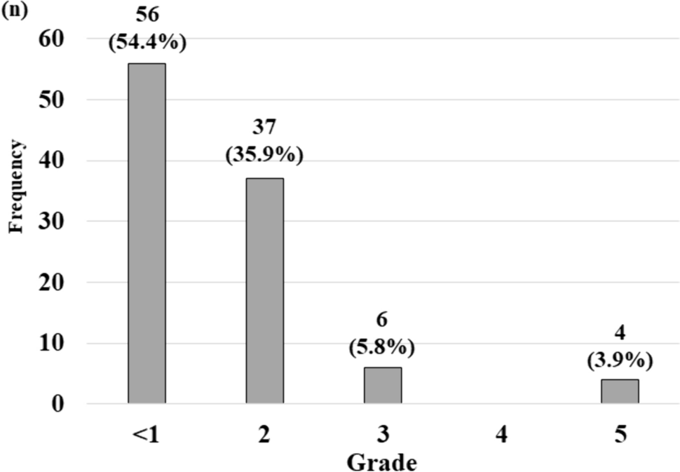 The postoperative renal function of persistent cloaca patients treated by posterior sagittal anorecto-urethro-vaginopalsty: results of a nationwide survey in Japan