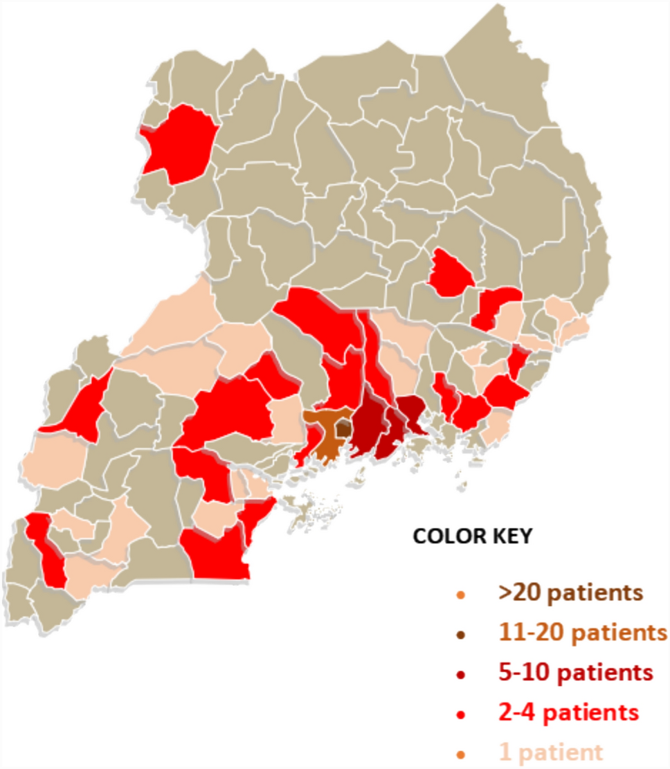 Treatment abandonment in children with Wilms tumor at a national referral hospital in Uganda