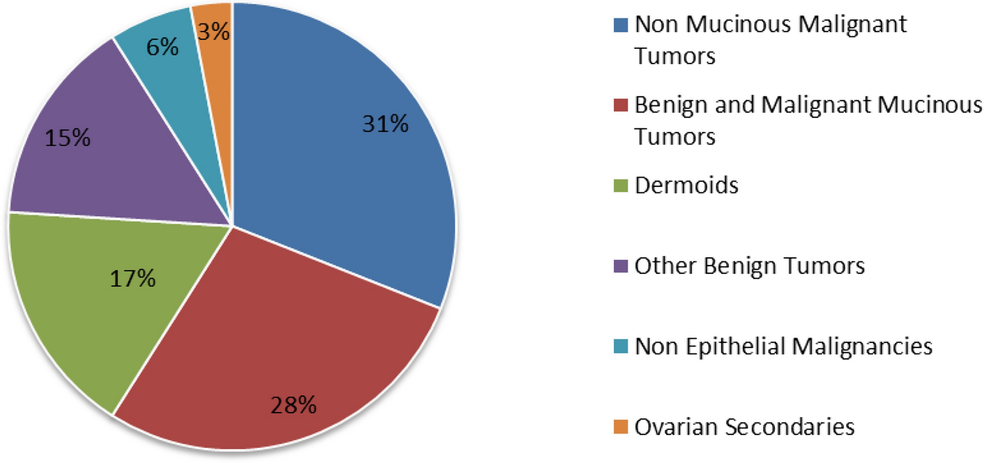 Diagnostic Accuracy of CA 19-9 in Ovarian Malignancy