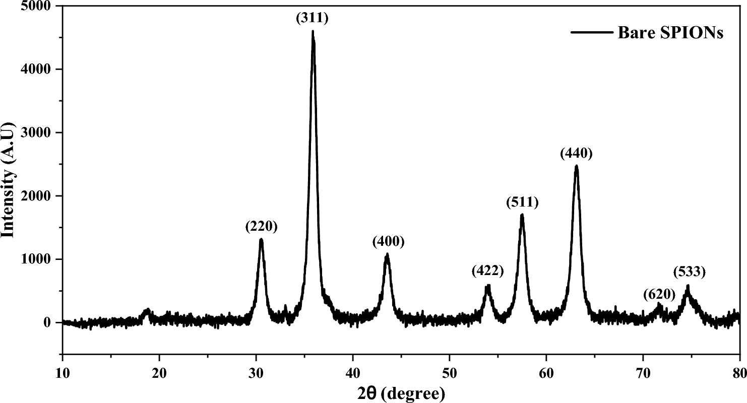 Theranostic nanocarrier for acyclovir: tailored SPIONs with MR contrast potential