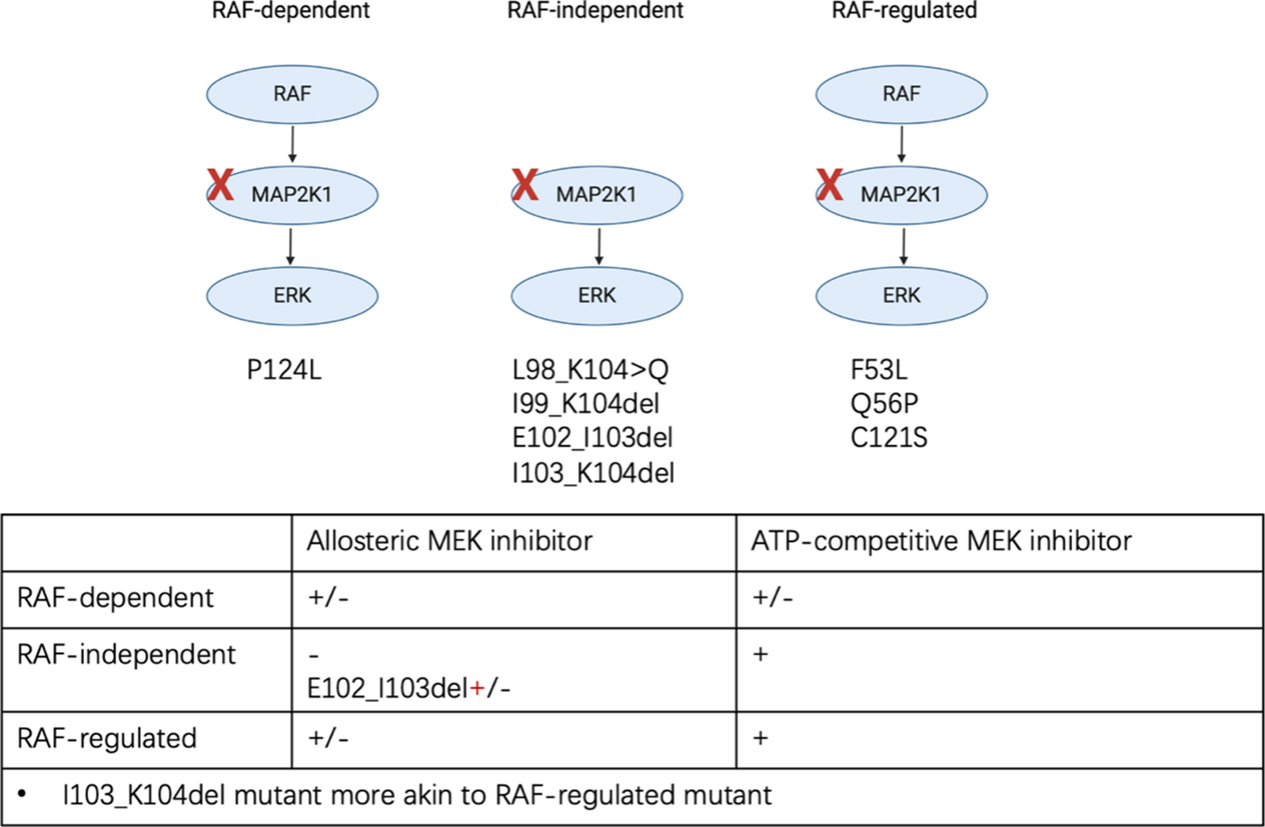 Current State of Targeted Therapy in Adult Langerhans Cell Histiocytosis and Erdheim–Chester Disease