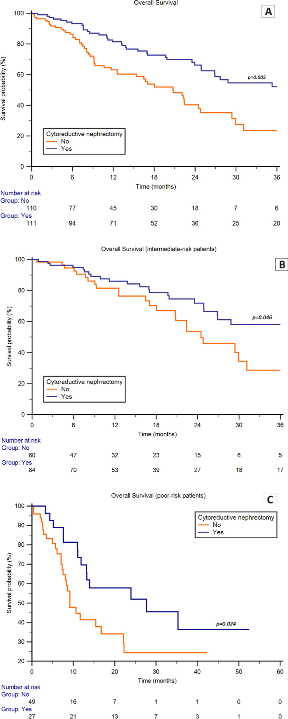 Real-World Impact of Upfront Cytoreductive Nephrectomy in Metastatic Non-Clear Cell Renal Cell Carcinoma Treated with First-Line Immunotherapy Combinations or Tyrosine Kinase Inhibitors (A Sub-Analysis from the ARON-1 Retrospective Study)