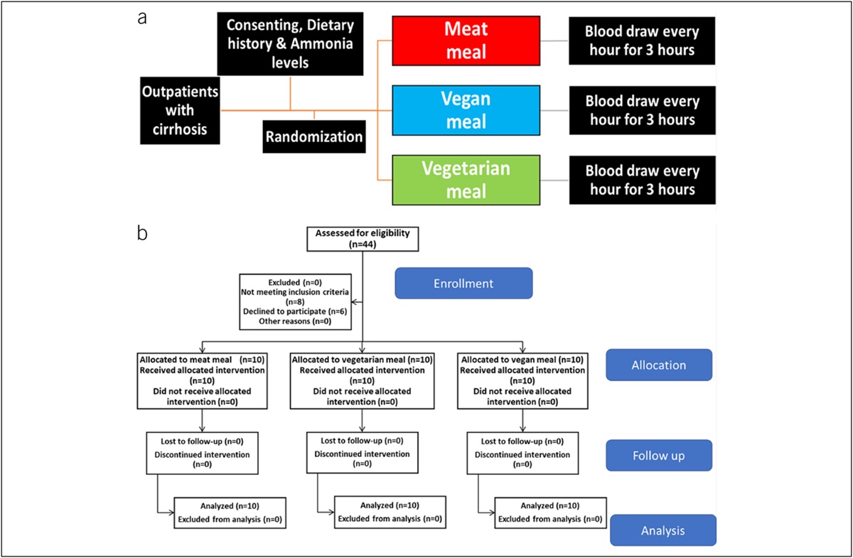 Substitution of One Meat-Based Meal With Vegetarian and Vegan Alternatives Generates Lower Ammonia and Alters Metabolites in Cirrhosis: A Randomized Clinical Trial